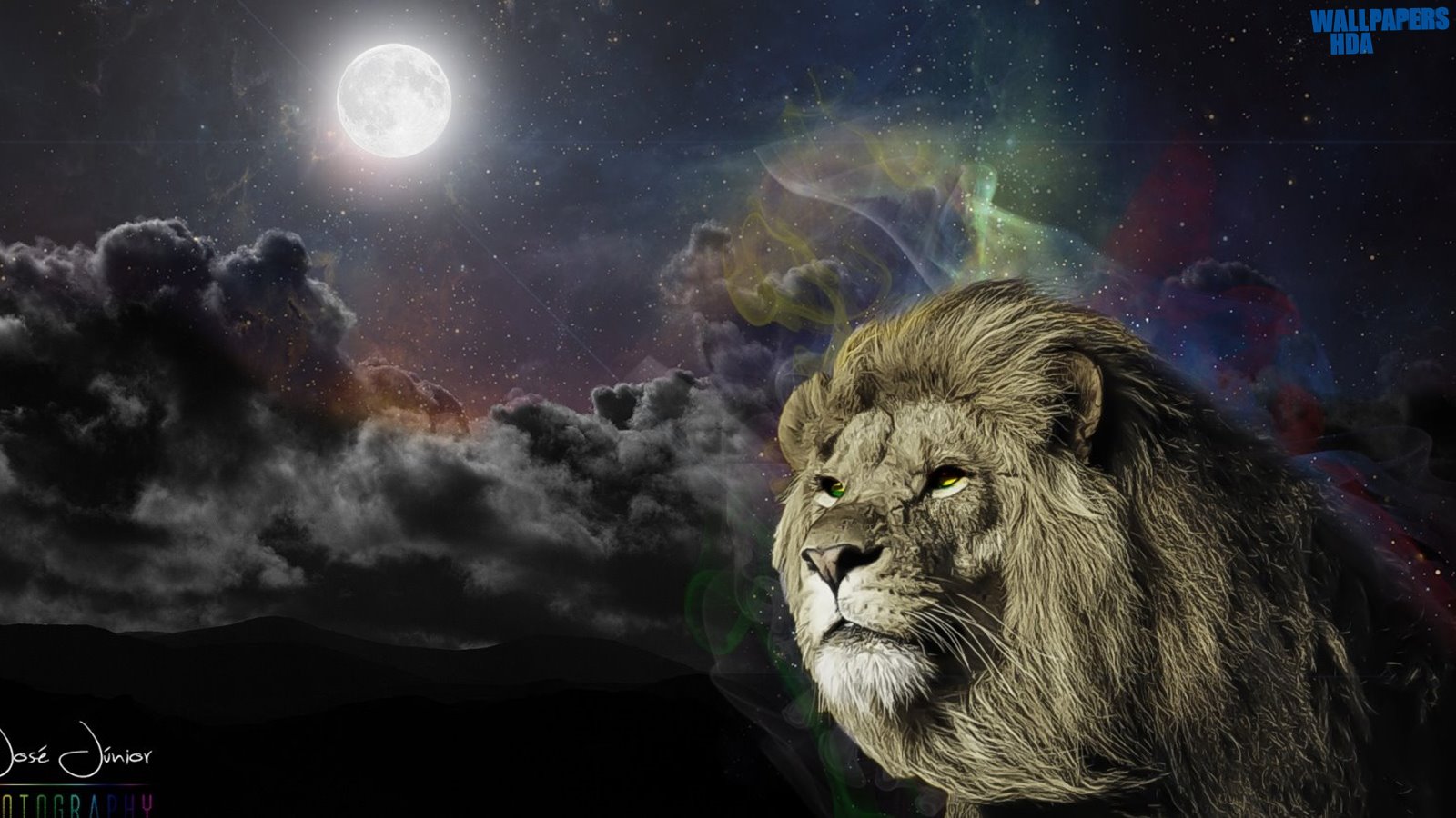The great lion wallpaper 1600x900