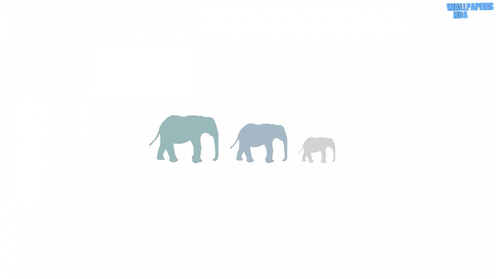 Three elephants wallpaper 1600x900