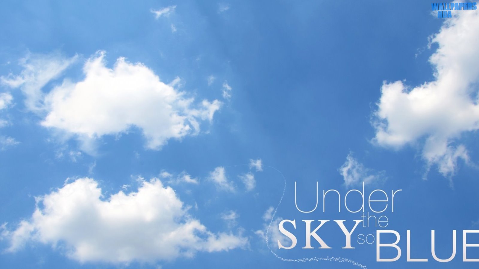 Under the sky so blue 2 wallpaper 1600x900