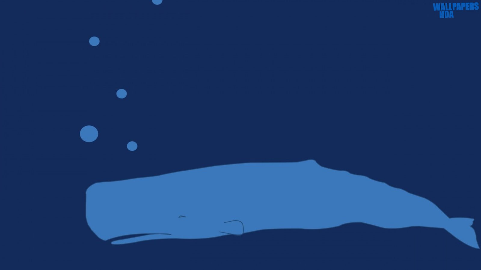 Whale underwater cartoon wallpaper 1600x900