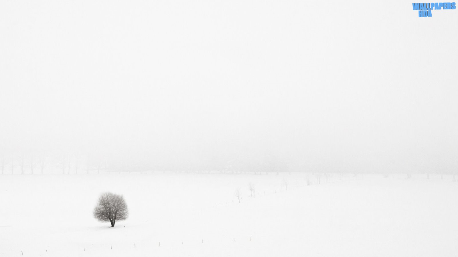 Winter alone wallpaper 1600x900