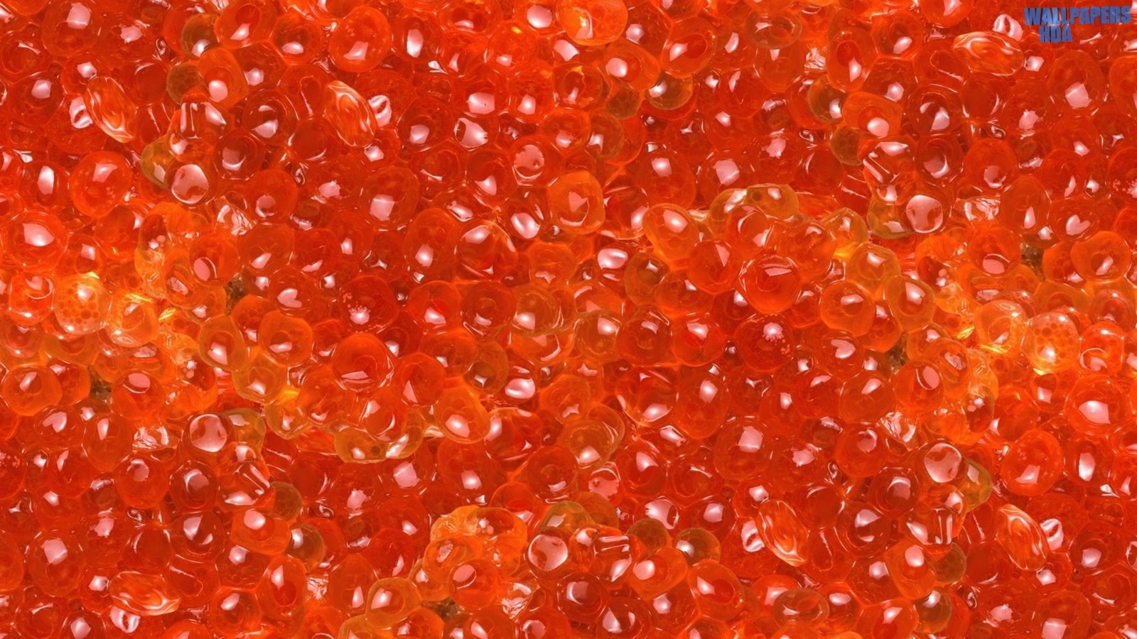 Salmon caviar wallpaper 1600x900